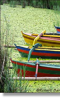 Bali Boats